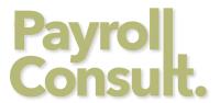 Payroll Consult image 1